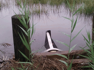 Stormwater Tideflex TF-1 - New Jersey Backflow Prevention