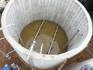 Course Bubble Fiber Plant