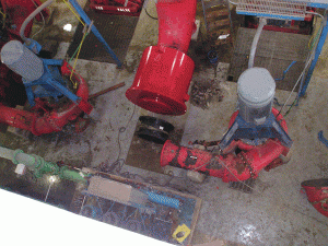 Tideflex 36" Installation into Raw Sewage Application